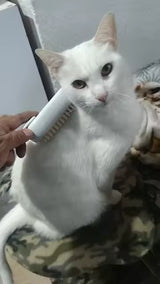 Foto del cliente